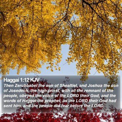 Haggai 1 Scripture Images - Haggai Chapter 1 KJV Bible Verse Pictures