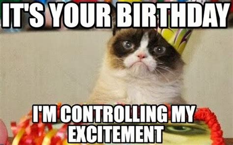 101 Funny Cat Happy Birthday Memes