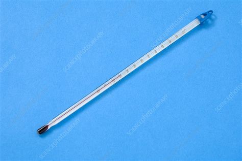 Alcohol thermometer - Stock Image - C024/9304 - Science Photo Library