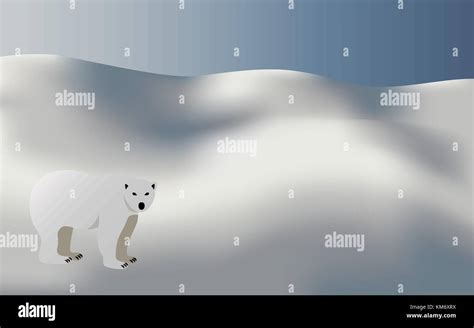 Polar bear in snow background, vector Stock Vector Image & Art - Alamy