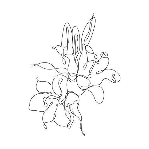 Abstract Flower Lily one line art drawing singulart aesthetic ...