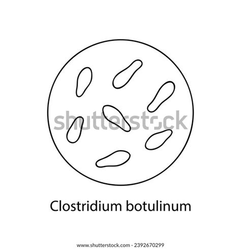 Pathogenic Bacteria Bacterial Microorganism Microbiology Infographics ...