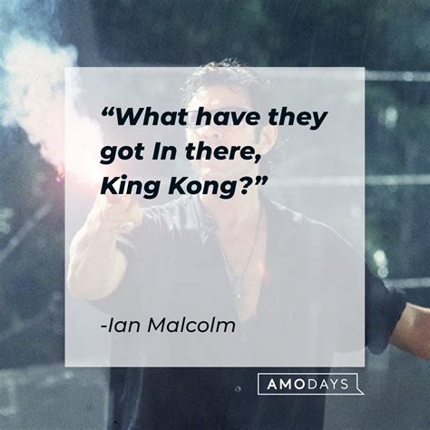 24 Ian Malcolm Quotes from the 'Jurassic Park' Films Filled with Wisdom