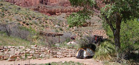 Havasupai Gardens| Grand Canyon | Grand Canyon Trust