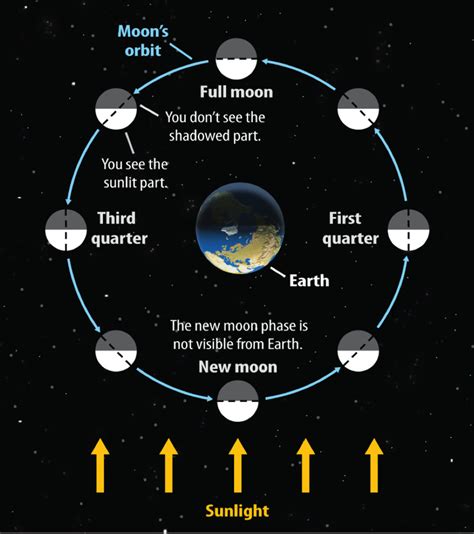 Moon Phases Diagram With Sun