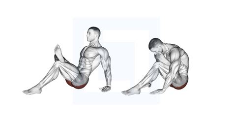 Seated Glute Stretch - Guide, Benefits, and Form