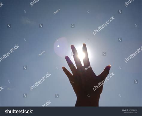 Hand Reaching Out Towards Sky Stock Photo 1856043472 | Shutterstock