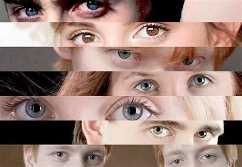 Eyes Of Heroes - Harry Potter Photo (27847578) - Fanpop