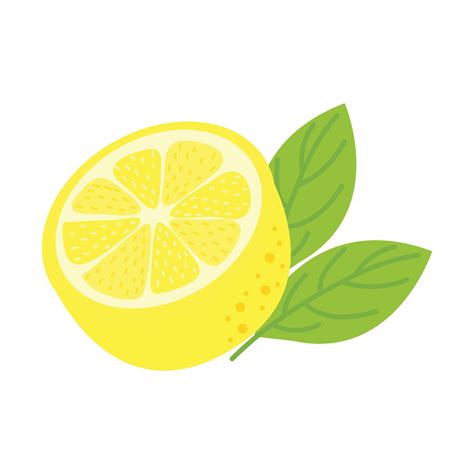 Fresh Lemon Illustration Isolated In White Background. Lemon Slice ...