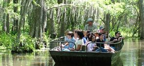 Original Honey Island Swamp Tour | New Orleans, Louisiana