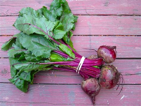 Beet Greens Health Benefits, Nutrition Facts, How to Cook, Recipes