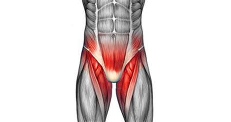 Diagram Of Male Groin Area / 10 Best images about Lymphatic Health on ...