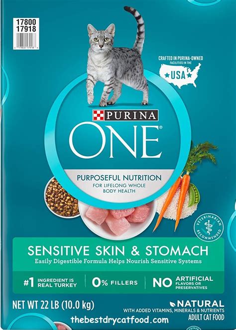 Best Dry Cat Food for Senior Cats 2024 | Reviews and Buyer Guide