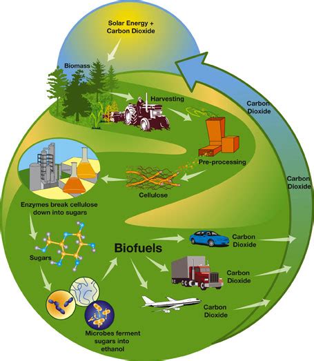 Bioenergy: Refueling the Future