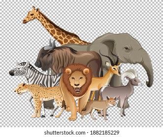 Wildlife Animals Clipart Free