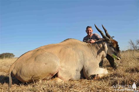 Massive Eland Bull | AfricaHunting.com