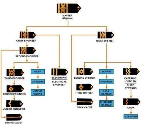 Seafarers Professions And Ranks