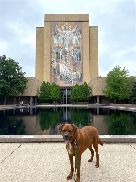 Touchdown Jesus – Walkies Through History