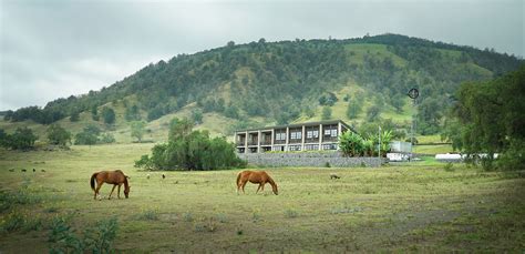 Living Hawaii: Henk Rogers And His Quest For Energy Independence ...