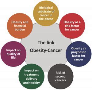 Obesity and cancer | Cancer World Archive