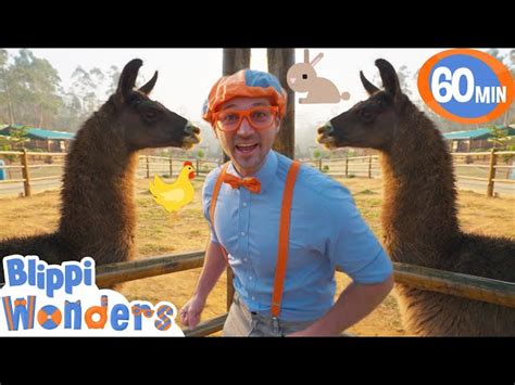 Blippi Visits a Petting Zoo! | Blippi & Blippi Wonders Educational ...