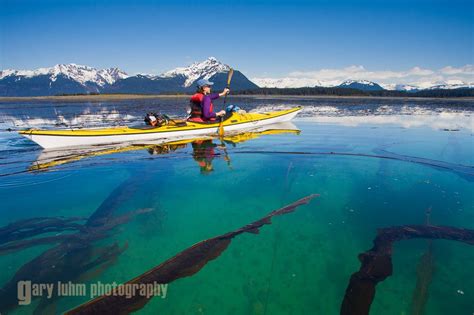 Sea Kayaking Glacier Bay National Park | garyluhm.net | Sea kayaking ...