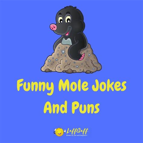 50+ Funny Ant Jokes Puns That Are Brilli-ant! | LaffGaff