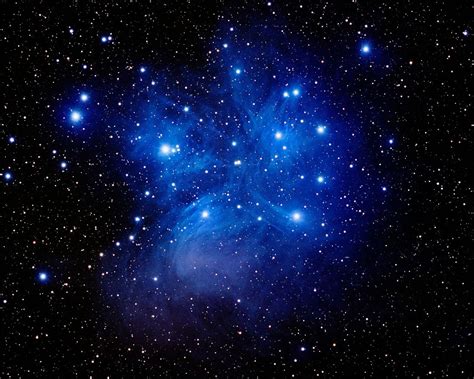 Massive Rotating Stars in the Pleiades Cluster