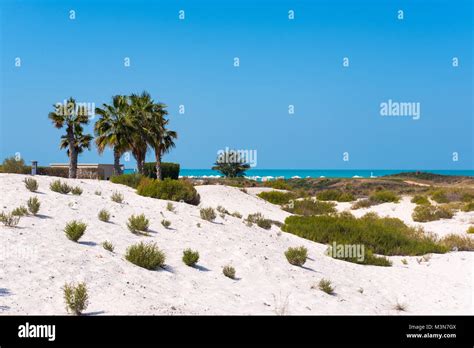 Saadiyat Island Public Beach, Resort, Relaxing at beach Stock Photo - Alamy