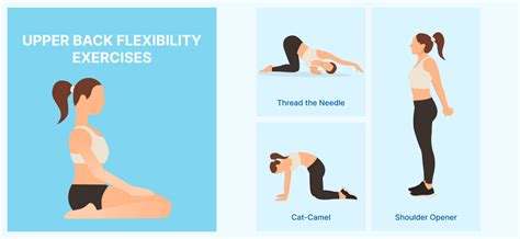 Top 7 Back Flexibility Exercises - All Injury Rehab