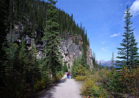 Lake Louise: Hiking Trails Lake Louise