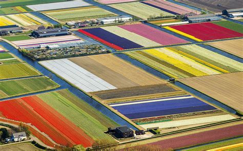 Tulip Fields Aerial Photos Netherlands | Time