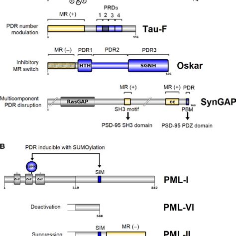 Schematic phase diagrams illustrating the role of additives on LLPS ...