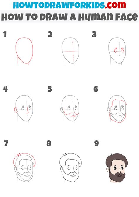 Step By Step Guide To Draw A Human Face Sketch Pencil Perceptions ...