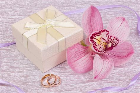 Box for gift and orchid stock photo. Image of color, gift - 29165602