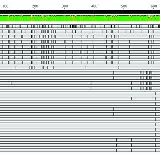 | Nucleotide sequence similarity and phylogenetic analysis of genes ...