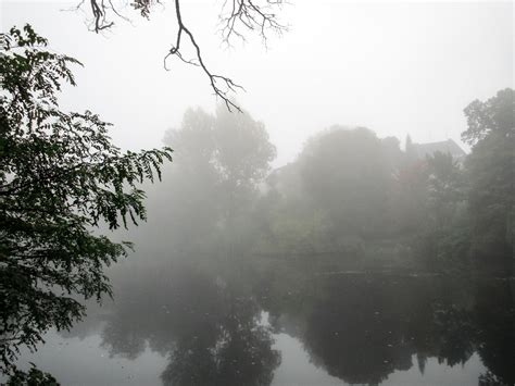 lake in autumn fog Free Photo Download | FreeImages