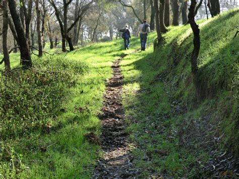 Hiking Up Hill 784 Free Stock Photo - Public Domain Pictures