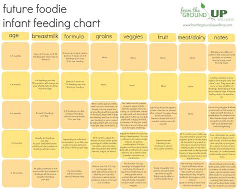 Infant Feeding Schedule | From The Ground Up Wellness | Baby feeding ...