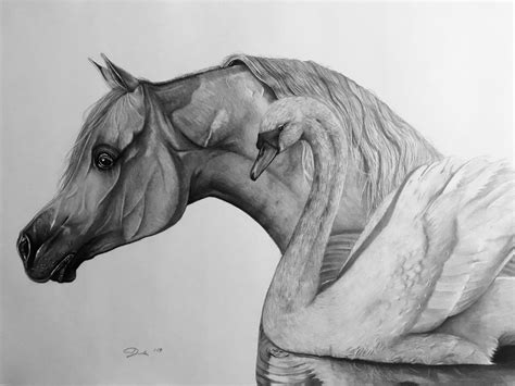 Pencil Drawing Of Horse Pencil Drawings Horses Pencil Sketches - Horse ...