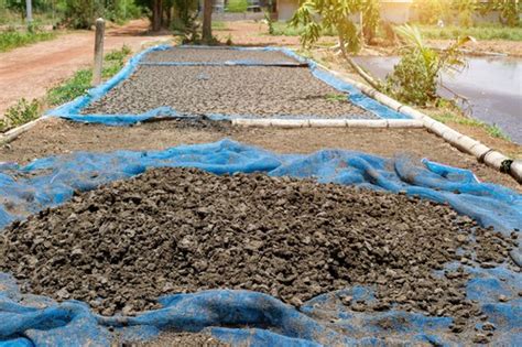 Pig Manure Compost: The Benefits, Risks, and How to Compost Pig Manure