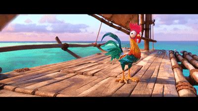 Moana - Hei Hei Funny Moments on Make a GIF