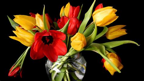 Flower HD, Tulip, Bouquet, HD Wallpaper | Rare Gallery