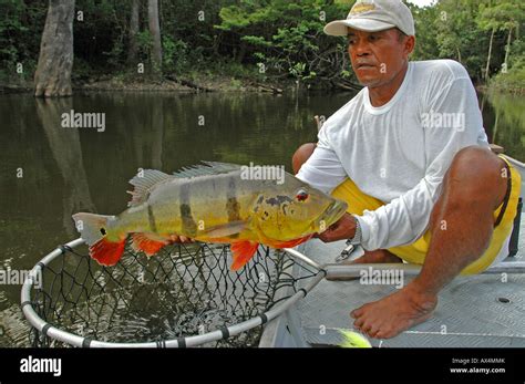 Fishing Guide Amazon River - what makes a good fishing