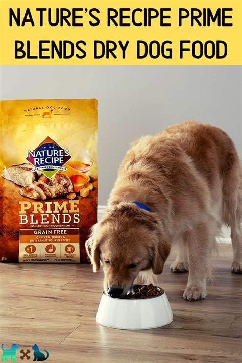 Natures Recipe Dog Food Puppy