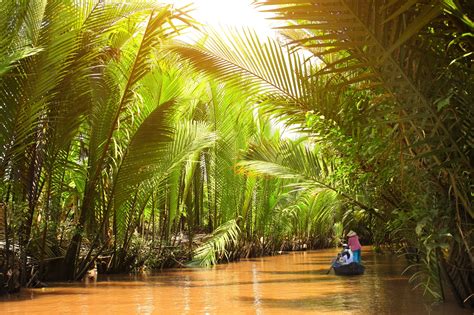 Mekong Delta Tour from Ho Chi Minh City - Tourist Journey