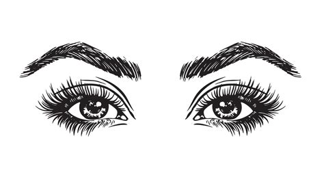 Woman eyes, Makeup look, line drawing logo black on white 23214675 ...