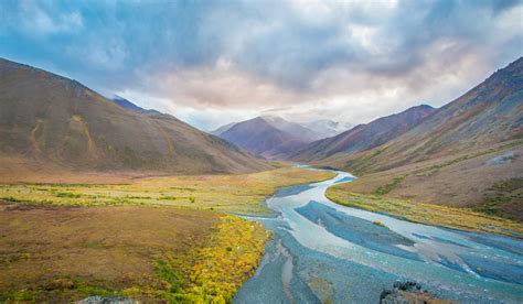 Arctic National Wildlife Refuge | Audubon Alaska