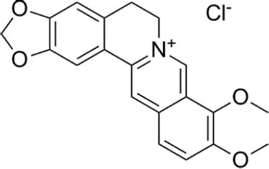 Structure of Berberine Hydrochloride. | Download Scientific Diagram