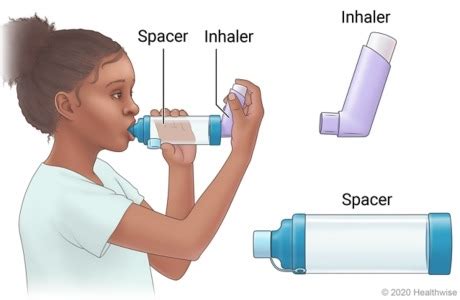 Using a Metered-dose Inhaler Diagram | Quizlet